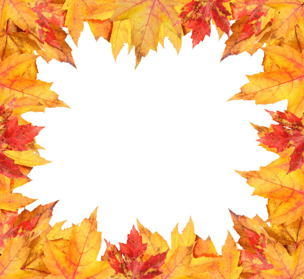 Colorful autumn leaves frame on white - Photo, Image