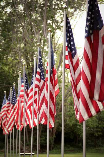 Μια σειρά από αμερικανικές σημαίες σε μια μικρή πόλη την Ημέρα των Βετεράνων - Φωτογραφία, εικόνα