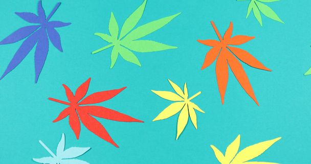 Paper applique paper hemp leaves on colored backgrounds. The concept of legalization. - 写真・画像