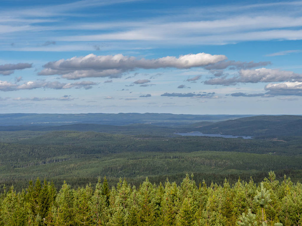 Panorama su un'ampia foresta svedese e un lago sullo sfondo - Foto, immagini