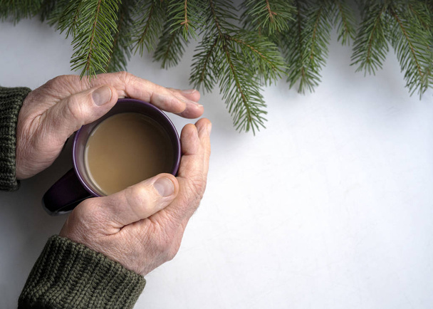 sobre un fondo blanco las viejas manos del hombre sostienen una taza de café, las ramas de un abeto verde sin juguetes de Navidad en la parte superior del marco, vista superior, espacio de copia a la derecha
 - Foto, imagen