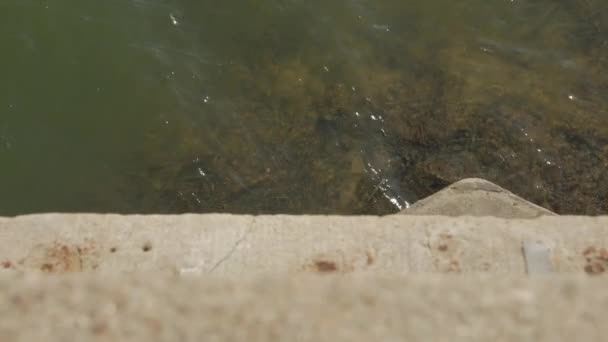 Річкова вода під мостом - Кадри, відео