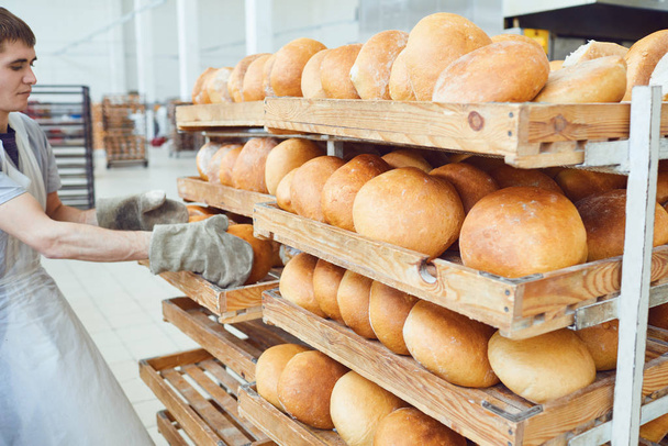Baker hands lay fresh bread at the bakery. - Foto, Imagen
