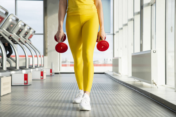 Physically fit woman at the gym with dumbbells ready to strengthen her arms and biceps - Photo, Image