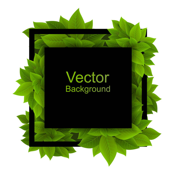 Square frame with dense foliage. Vector foliage with black square on white background. Black square and leaves - Вектор,изображение