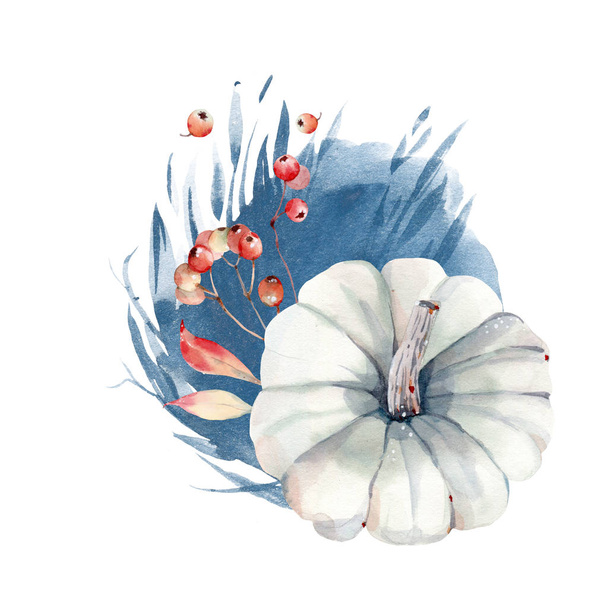 Watercolor pumpkin composition.  - Фото, зображення