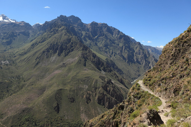 Kanion Colca w Peru - Zdjęcie, obraz