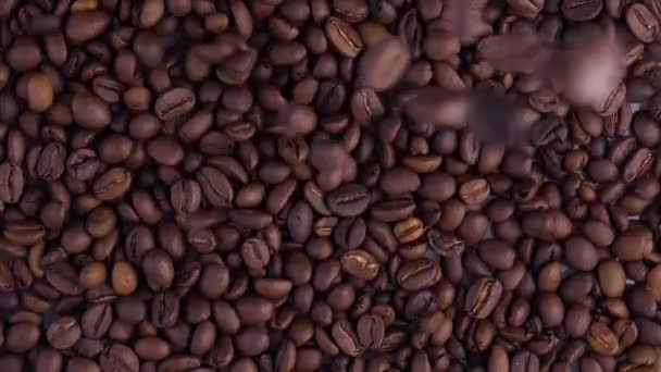 Dark Coffee Grains. Rotating and falling. Coffee beans. Close up of seeds of coffee. Beautiful seeds of coffee. - Felvétel, videó