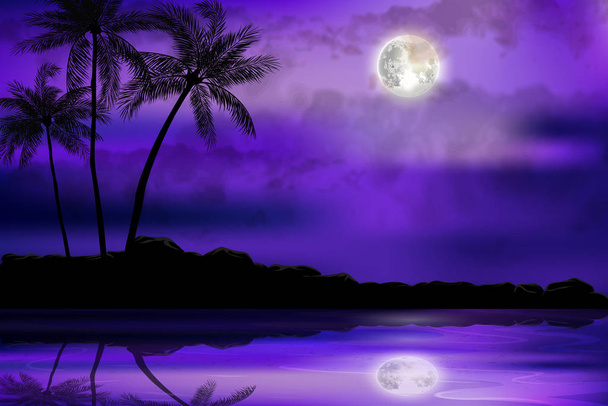 Illustration of tropical beach at night - Vector, Image