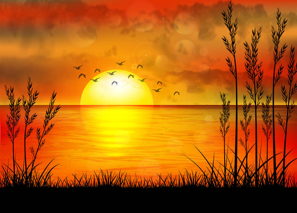 Trópusi naplemente pálmafákkal - Vektor, kép