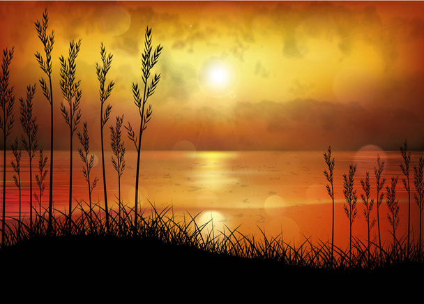 Tropikalny zachód słońca lub wschód słońca z palmami - Wektor, obraz