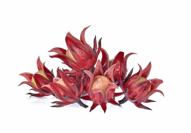 Roselle hibiscus valkoisella taustalla
 - Valokuva, kuva