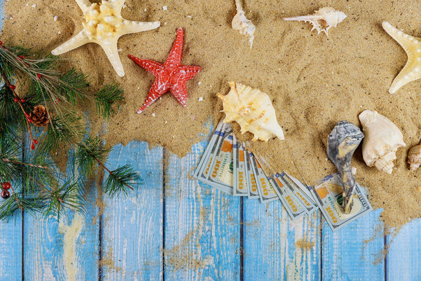 Морська раковина на піщаній морській зірці літня зимова гілка різдвяної ялинки на синій дерев'яній зі стодоларовою купюрою
 - Фото, зображення