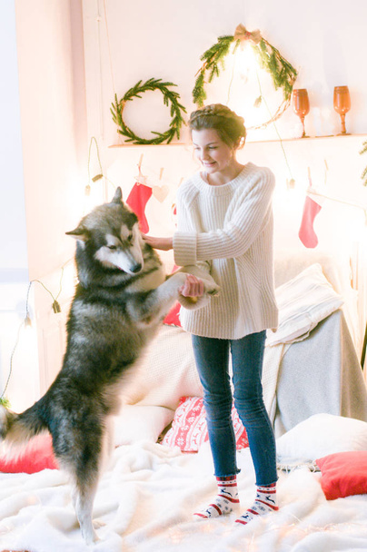 Cute teenage girl in a white knitted sweater plays with a dog Malamute in a room decorated for Christmas. Christmas mood. Happy New Year. Dogs and people - Foto, Imagen