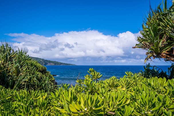 Вигляд природи на Мауї (Гаваї) - Фото, зображення