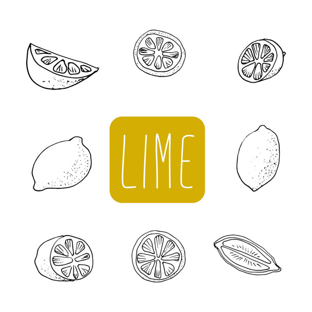 Vector hand drawn lime set. Whole lime, sliced pieces, half, lea - Vector, Image