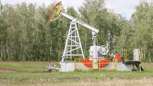 Oil pump working in the forest. Oil industry equipment. - Materiał filmowy, wideo