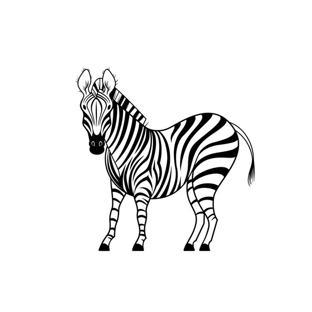 Zebraベクトルストックイラスト。アフリカの野生動物の概念。ゼブラタトゥースケッチ。ゼブラのベクトル図. - ベクター画像