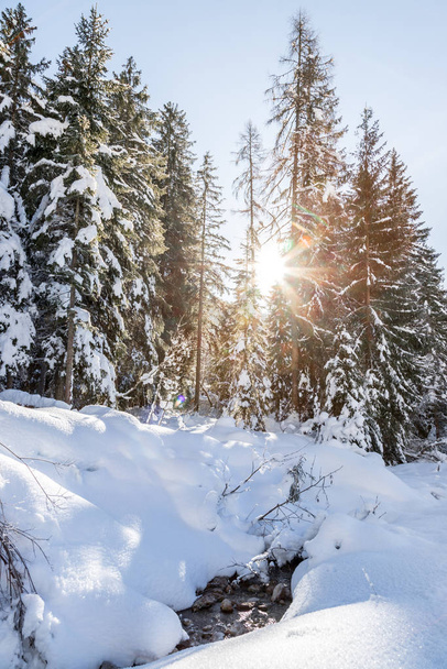 Idyllic winter landscape: stunning mountain range, beautiful river, snowy trees and blue sky - Foto, Imagem