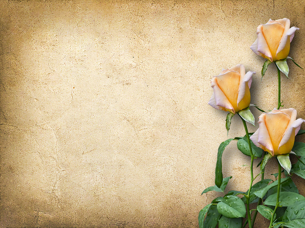 Вінтажна листівка для привітання з трьома жовтими трояндами
 - Фото, зображення