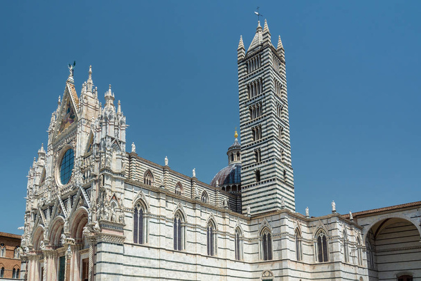 Duomo di Siena, the cathedral of Siena - 写真・画像