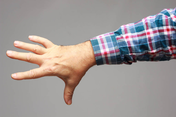 Ладонь руки, пальцы руки, кулак
 - Фото, изображение