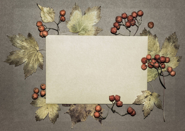 Hojas de otoño sobre papel texturizado
 - Foto, Imagen
