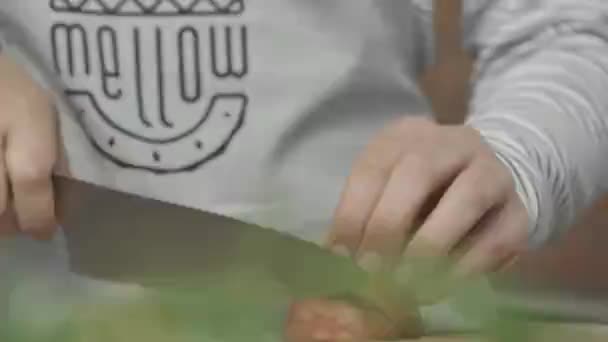 close-up van de persoon die de appel snijdt  - Video