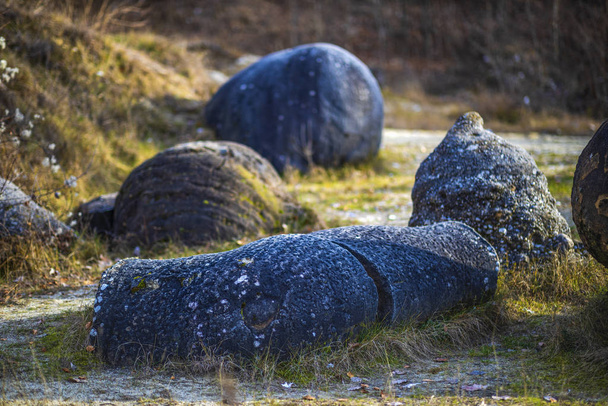 Trovantii – the strangest living stones in Romania. - Photo, Image