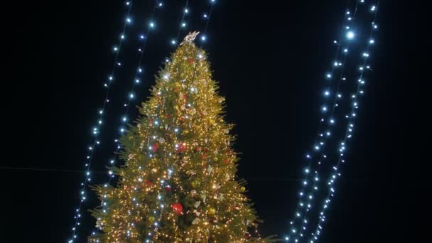 Χριστουγεννιάτικο δέντρο κέντρο της πόλης - Πλάνα, βίντεο