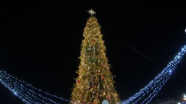 kerstboom op het stadsplein - Video