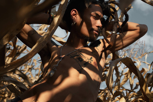 Authentic outdoor shot of gorgeous shirtless male artist with many interesting tattoo on fit tanned body, posing gracefully on corn field, wears dreadlocks and piercing. Fashion and beauty concept. - Photo, Image