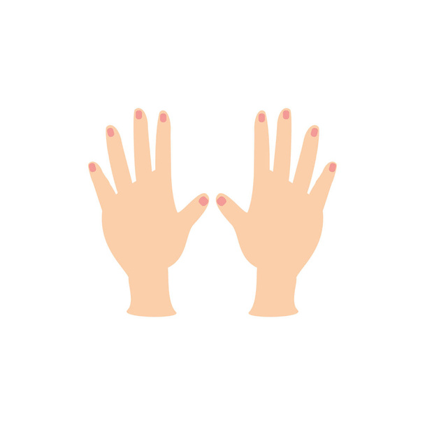 Isolado mãos femininas ícone vetor design
 - Vetor, Imagem