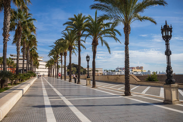 Cadiz town in Andalusia - Photo, image