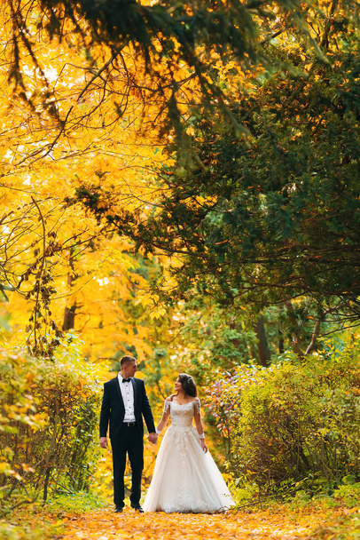 menyasszony és vőlegény sétál az őszi parkban. A friss házasok fogják egymás kezét. - Fotó, kép