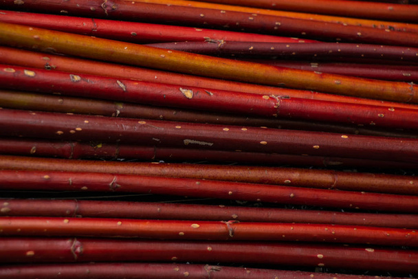 background of red thin twigs close up - Photo, Image