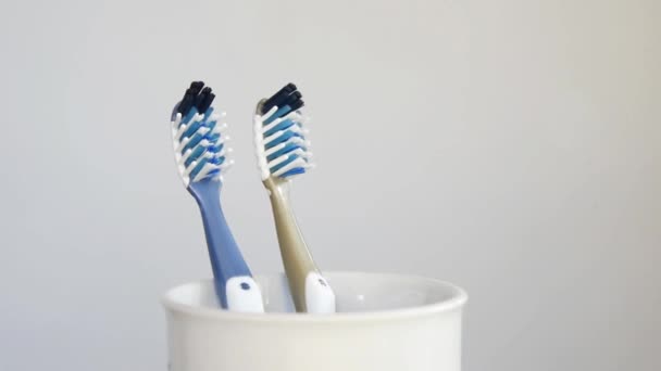 Brosses à dents dans la tasse de brosse à dents filante gros plan sur fond gris
. - Séquence, vidéo