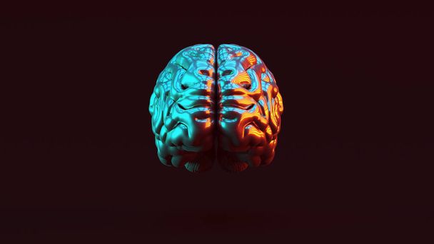 Argento cervello umano Anatomico con rosso blu Moody anni '80 illuminazione 3D illustrazione 3d rendering
 - Foto, immagini