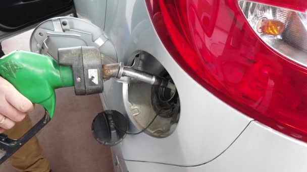 gas station car refueling process - Footage, Video
