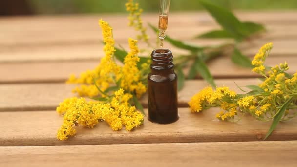 goldenrod essential oil in  beautiful bottle on table - Footage, Video