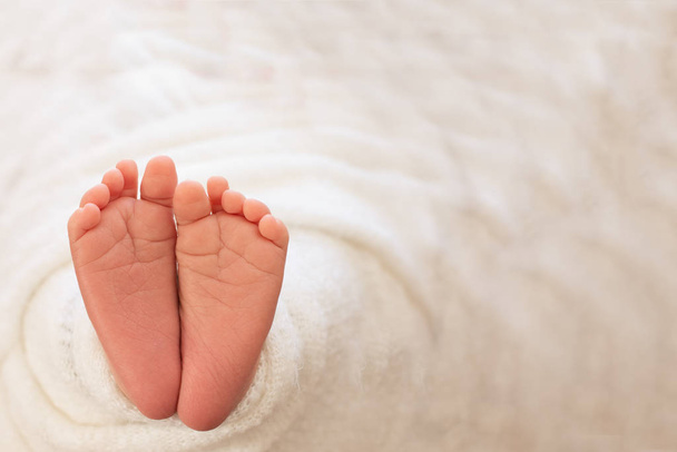  Foot of the newborn baby, tenderness. copy space in winter concept - Photo, Image