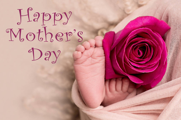Χαρούμενη γιορτή της Μητέρας. πόδια του νεογέννητου μωρού με ροζ τριαντάφυλλο λουλούδι - Φωτογραφία, εικόνα