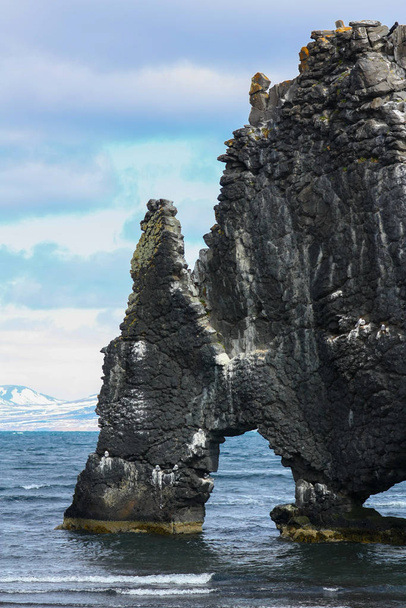 hvitserkur troll rock basalt stapel in island - Foto, Bild