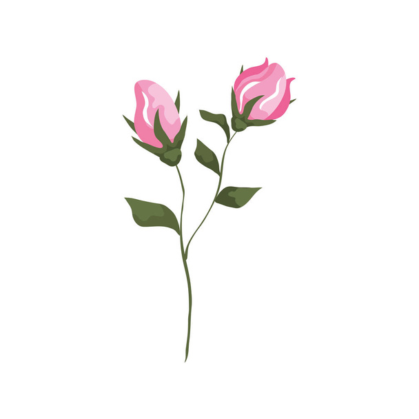 cute flowers with branches and leafs isolated icon - Vector, Image