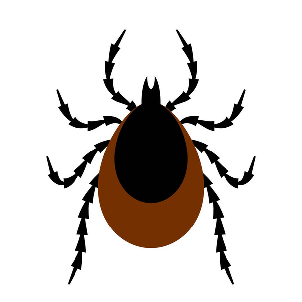 Tick insect vector illustration - Vektor, Bild