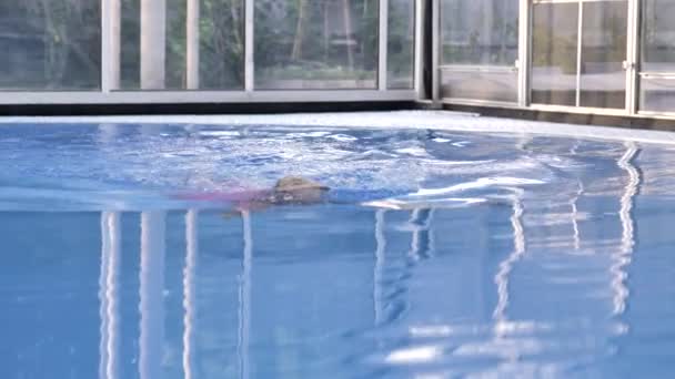 Blonde in a pink swimsuit swims in a pool with clear blue water. - Záběry, video