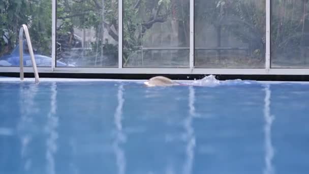 Blonde in a pink swimsuit swims in a pool with clear blue water. - Video