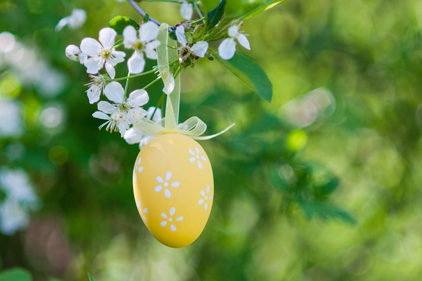 Yelow Huevos de Pascua en un cerezo, composición de Pascua
 - Foto, imagen