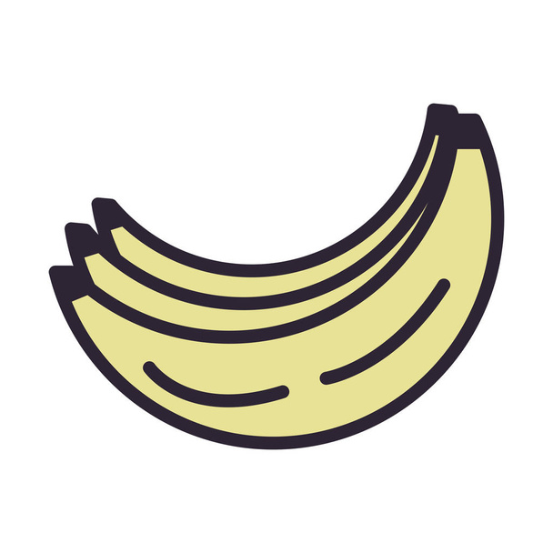 banane grappolo icona di frutta fresca - Vettoriali, immagini