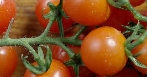 Вишневі помідори на гілці, вид крупним планом
 - Кадри, відео
